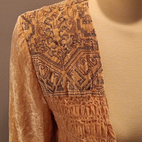 HOST PICK Anthropologie elevenses salmon pink velour embroidered blazer - Picture 2 of 8